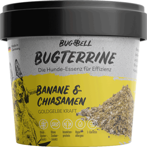 BugTerrine NICHT BIO Insekten mit Banane und Chiasamen 100g Hund Nassfutter BugBell